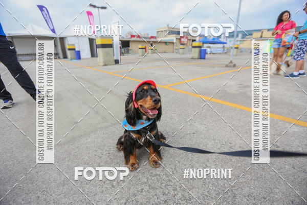 Buy your photos of the eventC�orrida Scooby Doo Internacional Shopping Guarulhos 2019 on Fotop