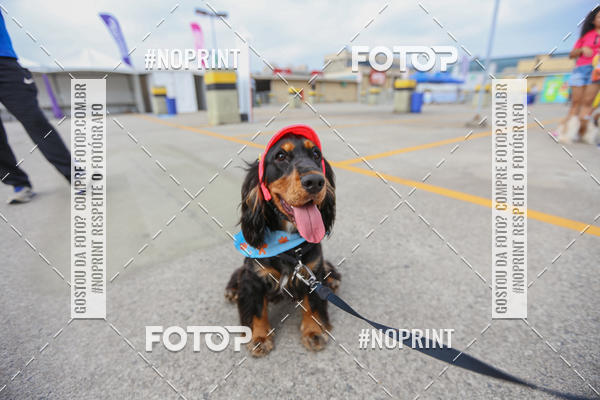 Buy your photos of the eventC�orrida Scooby Doo Internacional Shopping Guarulhos 2019 on Fotop