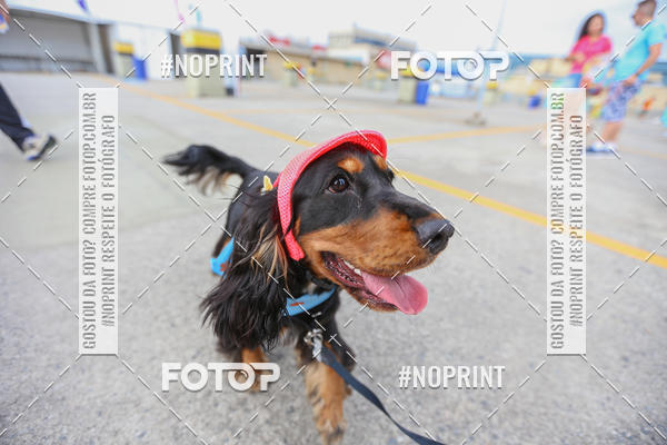 Buy your photos of the eventC�orrida Scooby Doo Internacional Shopping Guarulhos 2019 on Fotop