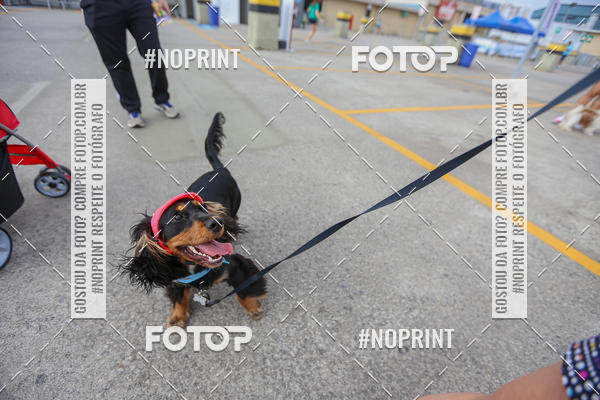 Buy your photos of the eventC�orrida Scooby Doo Internacional Shopping Guarulhos 2019 on Fotop