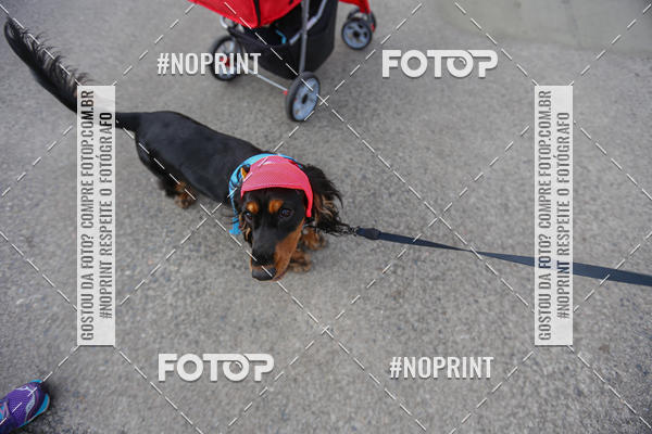 Buy your photos of the eventC�orrida Scooby Doo Internacional Shopping Guarulhos 2019 on Fotop