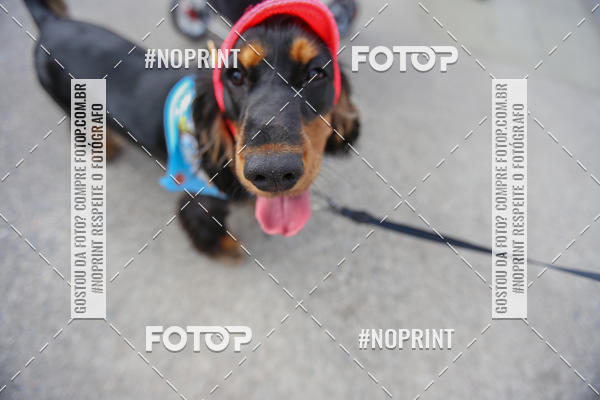 Buy your photos of the eventC�orrida Scooby Doo Internacional Shopping Guarulhos 2019 on Fotop