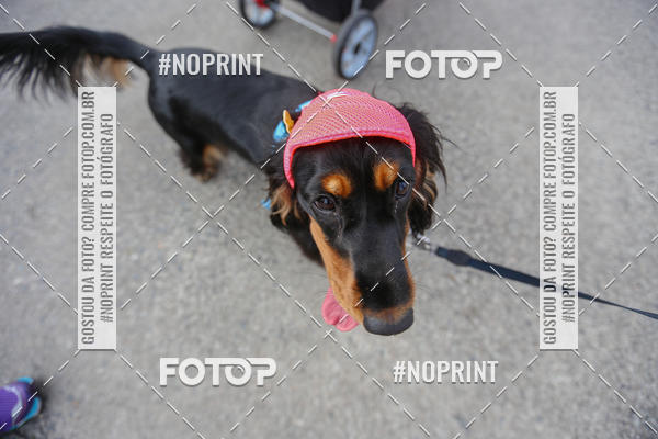 Buy your photos of the eventC�orrida Scooby Doo Internacional Shopping Guarulhos 2019 on Fotop