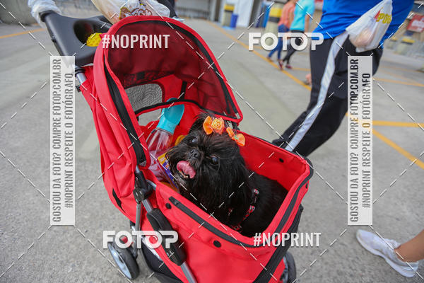 Buy your photos of the eventC�orrida Scooby Doo Internacional Shopping Guarulhos 2019 on Fotop