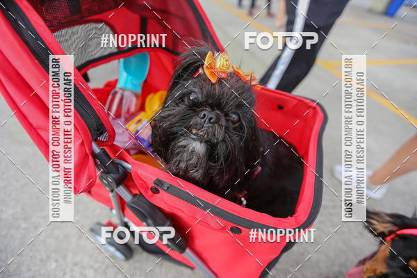 Buy your photos of the eventC�orrida Scooby Doo Internacional Shopping Guarulhos 2019 on Fotop