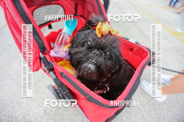 Buy your photos of the eventC�orrida Scooby Doo Internacional Shopping Guarulhos 2019 on Fotop