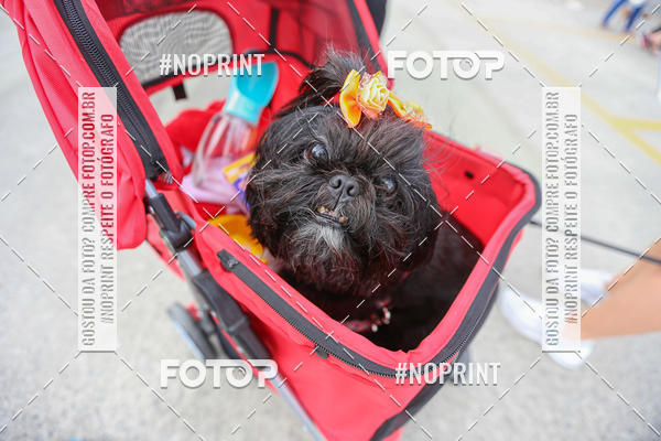 Buy your photos of the eventC�orrida Scooby Doo Internacional Shopping Guarulhos 2019 on Fotop