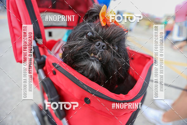 Buy your photos of the eventC�orrida Scooby Doo Internacional Shopping Guarulhos 2019 on Fotop