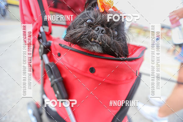 Buy your photos of the eventC�orrida Scooby Doo Internacional Shopping Guarulhos 2019 on Fotop