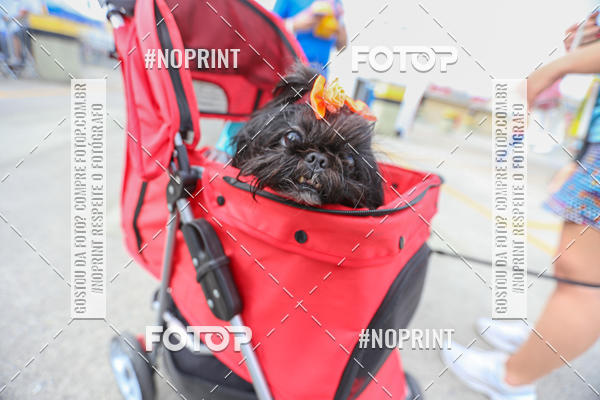 Buy your photos of the eventC�orrida Scooby Doo Internacional Shopping Guarulhos 2019 on Fotop