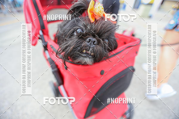 Buy your photos of the eventC�orrida Scooby Doo Internacional Shopping Guarulhos 2019 on Fotop