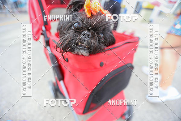 Buy your photos of the eventC�orrida Scooby Doo Internacional Shopping Guarulhos 2019 on Fotop