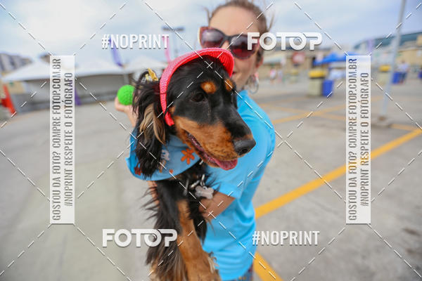 Buy your photos of the eventC�orrida Scooby Doo Internacional Shopping Guarulhos 2019 on Fotop