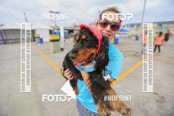 Buy your photos of the eventC�orrida Scooby Doo Internacional Shopping Guarulhos 2019 on Fotop