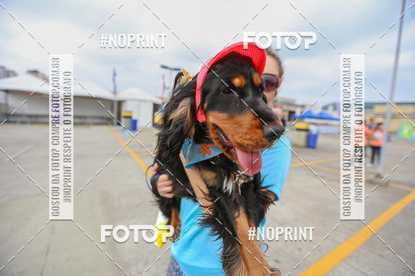 Buy your photos of the eventC�orrida Scooby Doo Internacional Shopping Guarulhos 2019 on Fotop