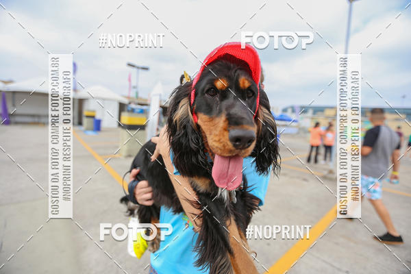 Buy your photos of the eventC�orrida Scooby Doo Internacional Shopping Guarulhos 2019 on Fotop