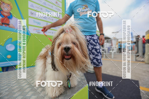 Buy your photos of the eventC�orrida Scooby Doo Internacional Shopping Guarulhos 2019 on Fotop