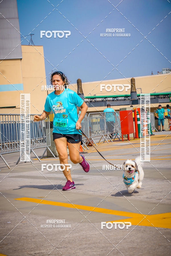 Buy your photos of the eventCorrida Scooby Doo Internacional Shopping Guarulhos 2019 on Fotop