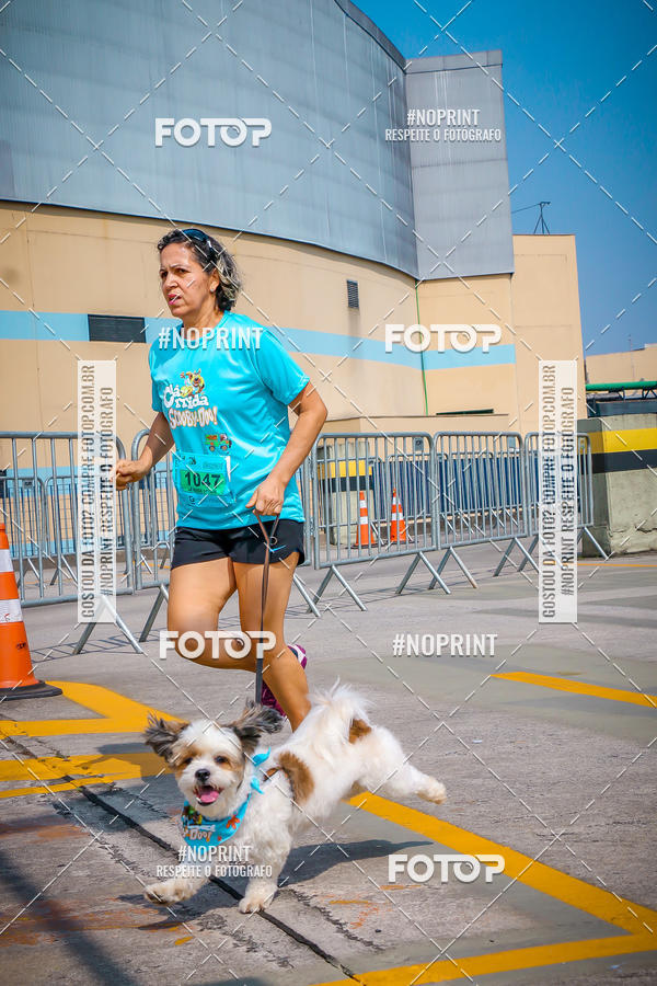 Buy your photos of the eventCorrida Scooby Doo Internacional Shopping Guarulhos 2019 on Fotop
