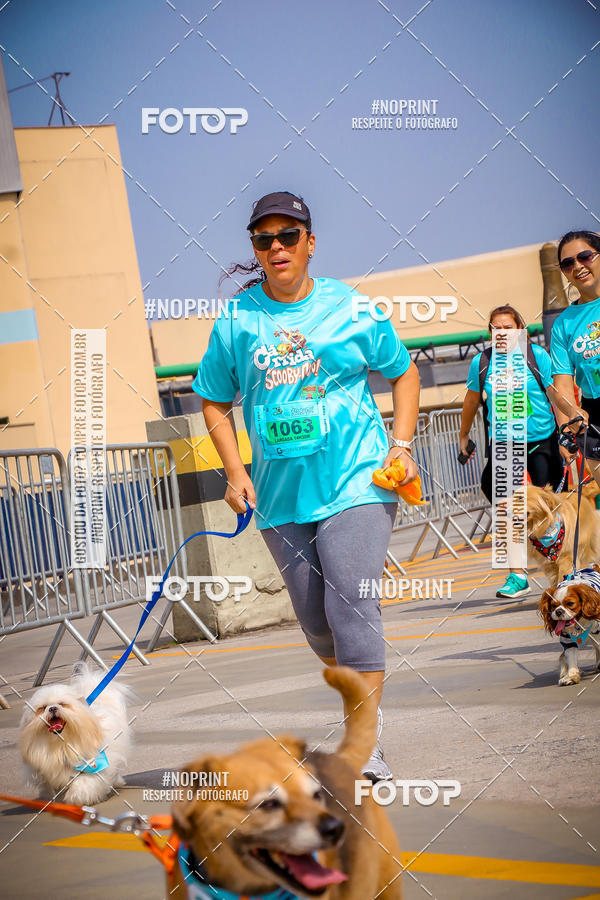 Buy your photos of the eventC�orrida Scooby Doo Internacional Shopping Guarulhos 2019 on Fotop