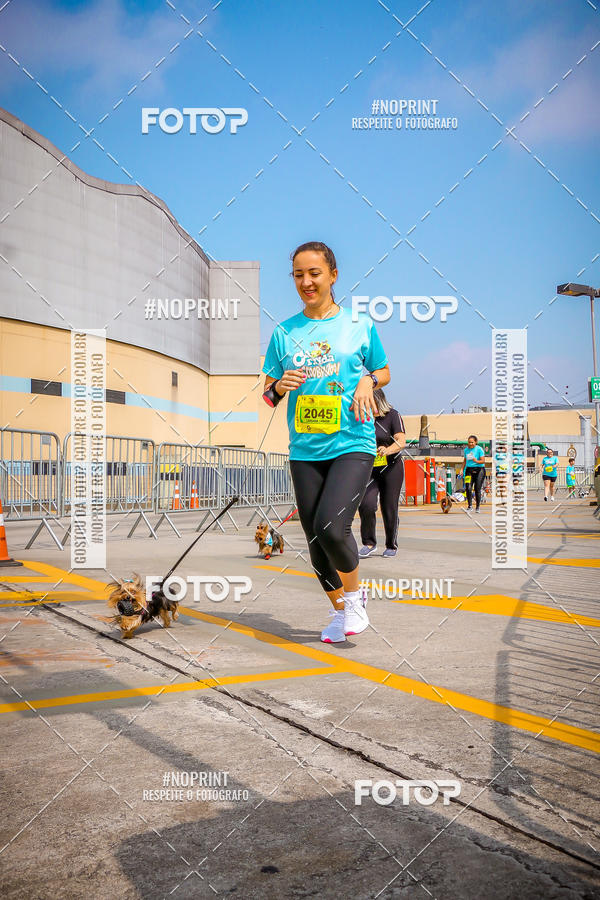 Buy your photos of the eventC�orrida Scooby Doo Internacional Shopping Guarulhos 2019 on Fotop