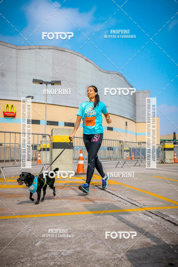 Buy your photos of the eventC�orrida Scooby Doo Internacional Shopping Guarulhos 2019 on Fotop