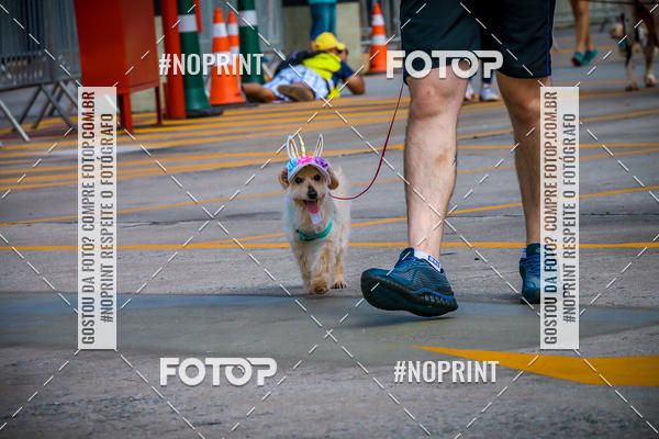 Buy your photos of the eventC�orrida Scooby Doo Internacional Shopping Guarulhos 2019 on Fotop