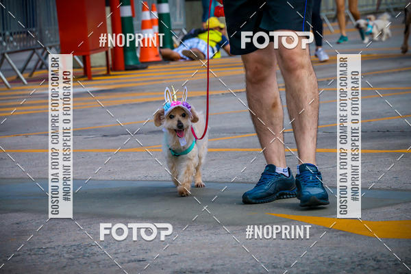 Buy your photos of the eventC�orrida Scooby Doo Internacional Shopping Guarulhos 2019 on Fotop