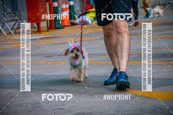 Buy your photos of the eventC�orrida Scooby Doo Internacional Shopping Guarulhos 2019 on Fotop