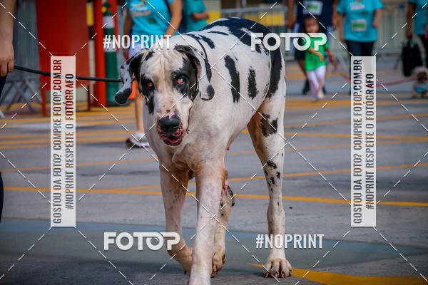 Buy your photos of the eventC�orrida Scooby Doo Internacional Shopping Guarulhos 2019 on Fotop