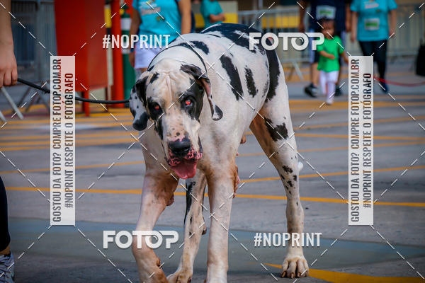 Buy your photos of the eventC�orrida Scooby Doo Internacional Shopping Guarulhos 2019 on Fotop