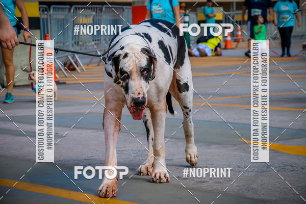 Buy your photos of the eventC�orrida Scooby Doo Internacional Shopping Guarulhos 2019 on Fotop