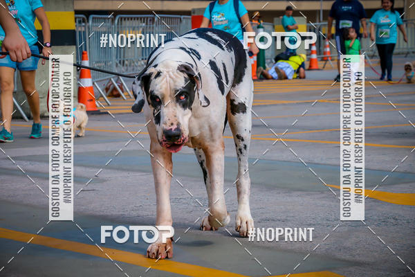 Buy your photos of the eventC�orrida Scooby Doo Internacional Shopping Guarulhos 2019 on Fotop