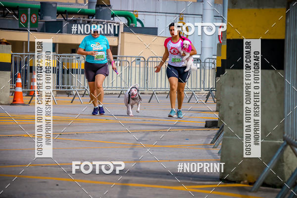 Buy your photos of the eventC�orrida Scooby Doo Internacional Shopping Guarulhos 2019 on Fotop