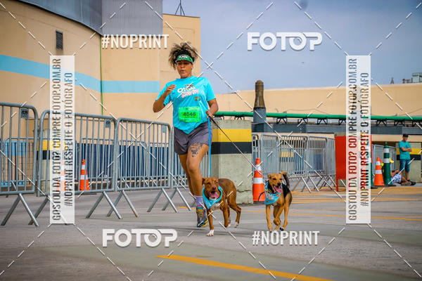 Buy your photos of the eventC�orrida Scooby Doo Internacional Shopping Guarulhos 2019 on Fotop