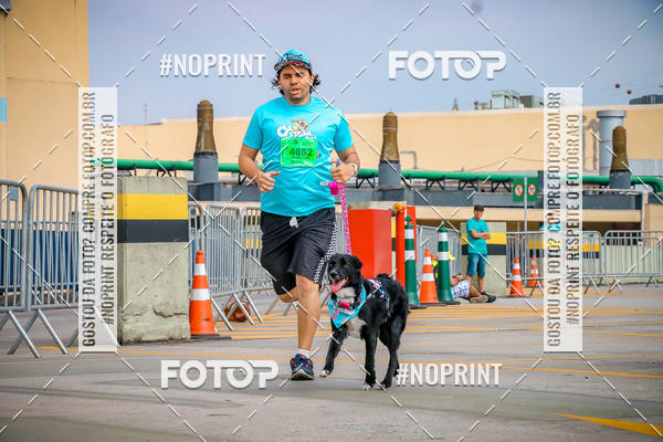 Buy your photos of the eventCorrida Scooby Doo Internacional Shopping Guarulhos 2019 on Fotop