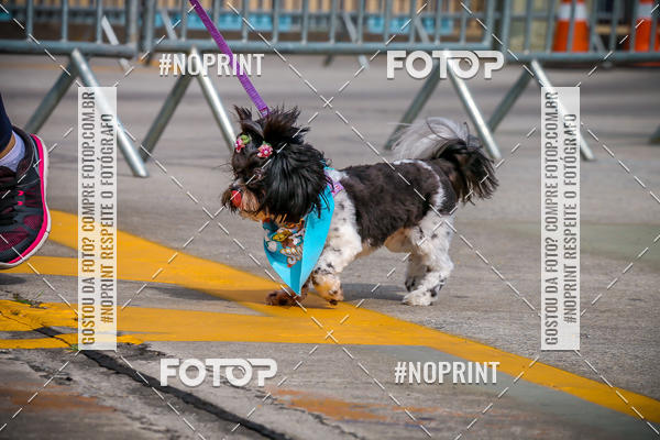 Buy your photos of the eventC�orrida Scooby Doo Internacional Shopping Guarulhos 2019 on Fotop