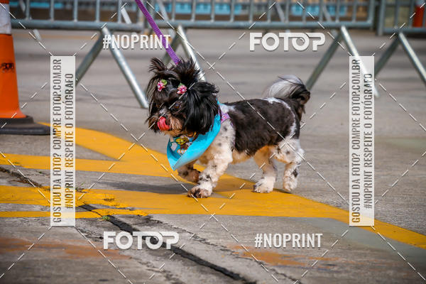 Buy your photos of the eventC�orrida Scooby Doo Internacional Shopping Guarulhos 2019 on Fotop