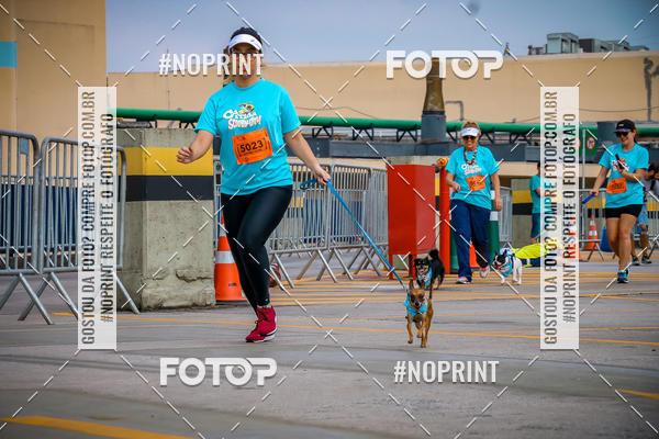 Buy your photos of the eventC�orrida Scooby Doo Internacional Shopping Guarulhos 2019 on Fotop