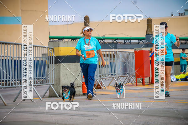 Buy your photos of the eventC�orrida Scooby Doo Internacional Shopping Guarulhos 2019 on Fotop