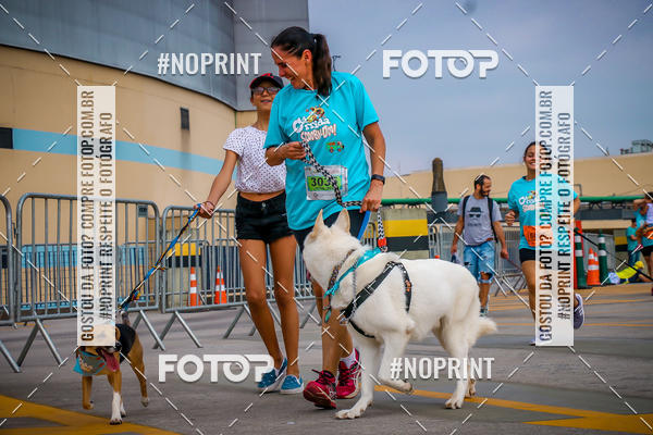Buy your photos of the eventC�orrida Scooby Doo Internacional Shopping Guarulhos 2019 on Fotop