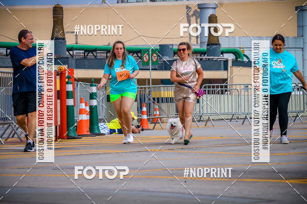 Buy your photos of the eventC�orrida Scooby Doo Internacional Shopping Guarulhos 2019 on Fotop