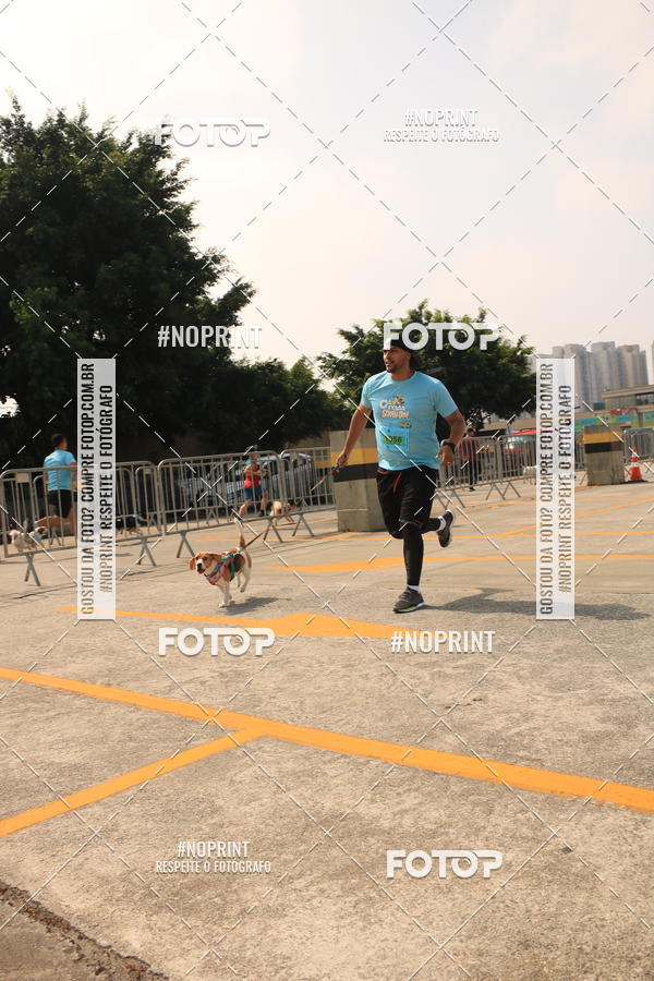 Buy your photos of the eventCorrida Scooby Doo Internacional Shopping Guarulhos 2019 on Fotop