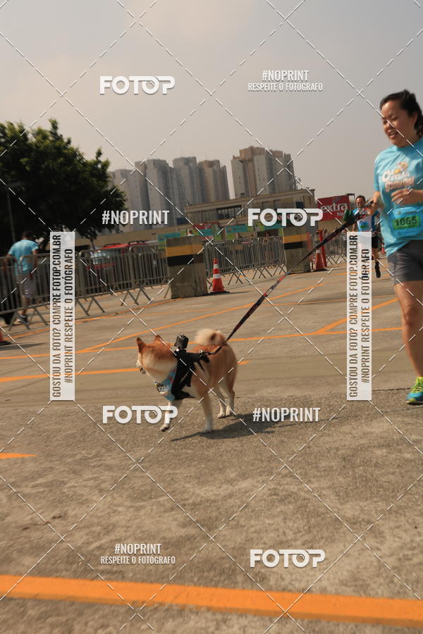 Buy your photos of the eventCorrida Scooby Doo Internacional Shopping Guarulhos 2019 on Fotop