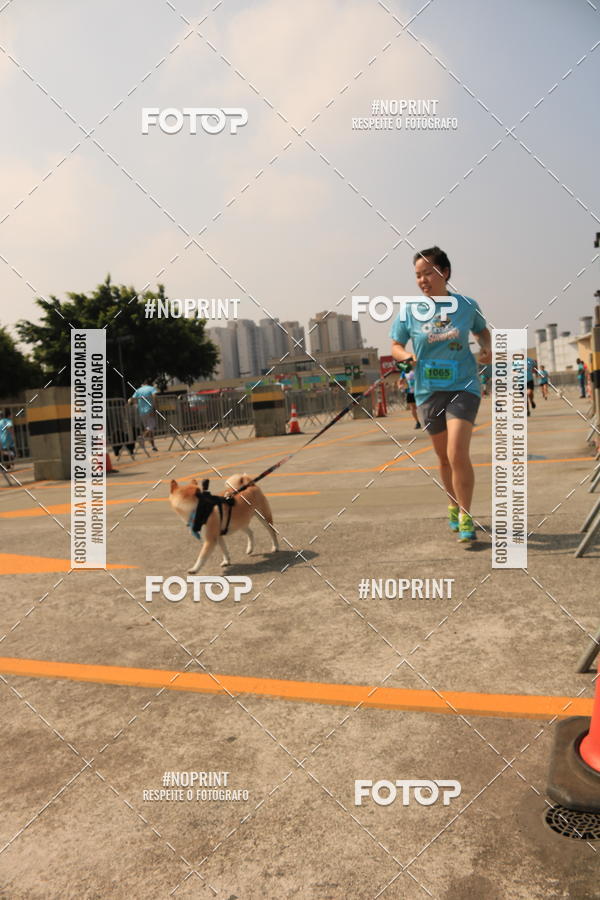 Buy your photos of the eventCorrida Scooby Doo Internacional Shopping Guarulhos 2019 on Fotop