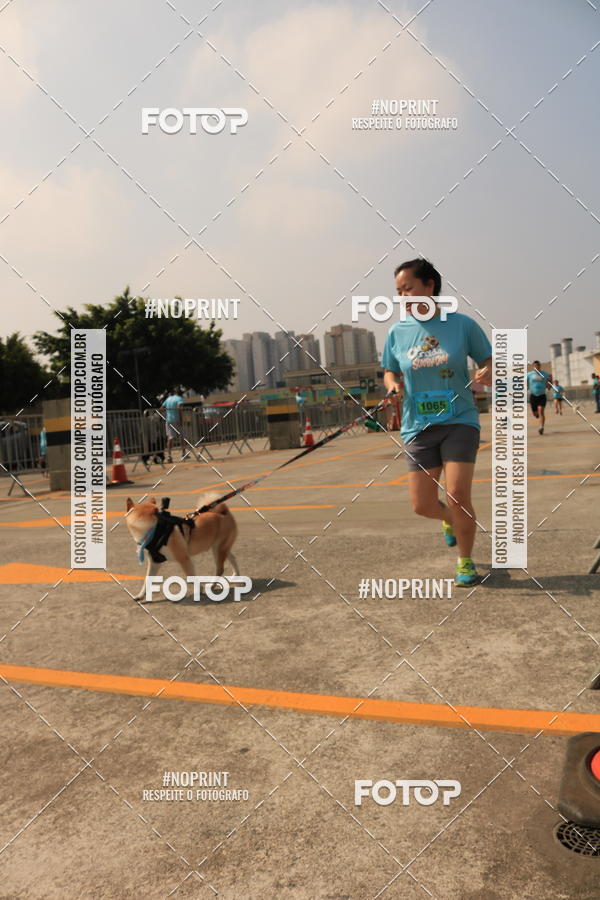 Buy your photos of the eventCorrida Scooby Doo Internacional Shopping Guarulhos 2019 on Fotop