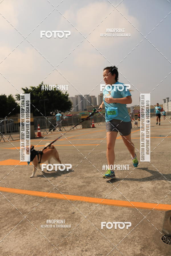 Buy your photos of the eventCorrida Scooby Doo Internacional Shopping Guarulhos 2019 on Fotop