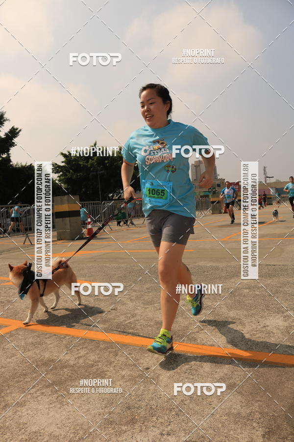 Buy your photos of the eventCorrida Scooby Doo Internacional Shopping Guarulhos 2019 on Fotop