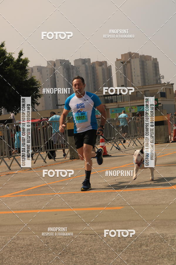 Buy your photos of the eventCorrida Scooby Doo Internacional Shopping Guarulhos 2019 on Fotop