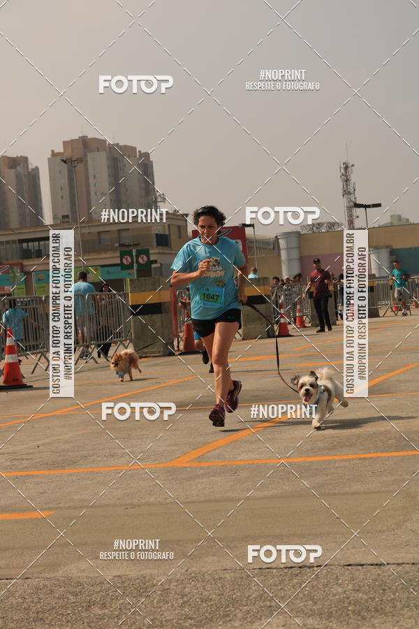 Buy your photos of the eventCorrida Scooby Doo Internacional Shopping Guarulhos 2019 on Fotop